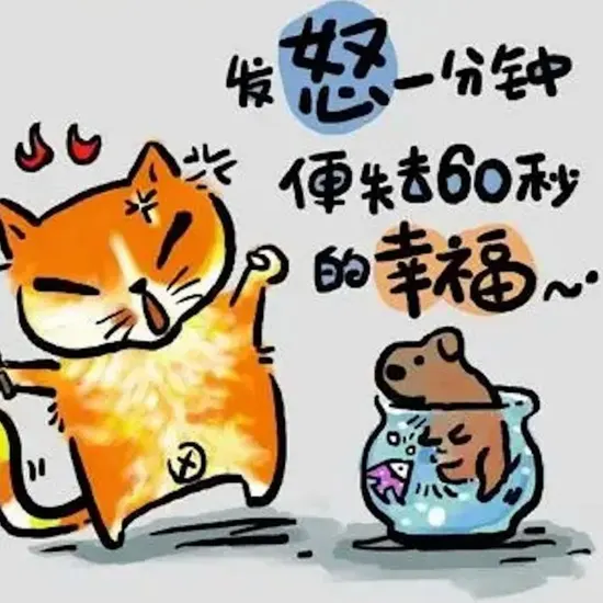 CS1.6职业选手集锦